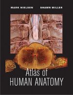 Atlas of Human Anatomy 1e (WSE)