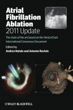 Atrial Fibrillation Ablation 2011 Update - The State of the Art based on the VeniceChart International Consensus Document