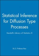 Statistical Inference for Diffusion Type Process