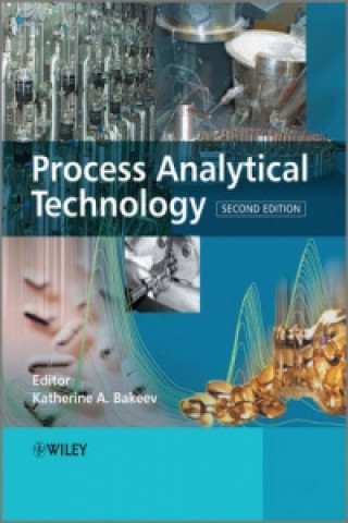 Process Analytical Technology 2e - Spectroscopic Tools and Implementation Strategies for the Chemical and Pharmaceutical Industries
