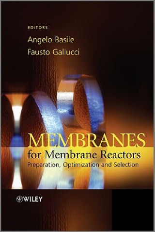 Membranes for Membrane Reactors - Preparation, Optimization and Selection