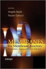 Membranes for Membrane Reactors - Preparation, Optimization and Selection