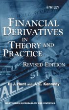 Financial Derivatives in Theory and Practice Rev