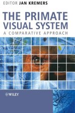Primate Visual System - A Comparative Approach