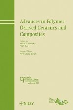 Advances in Polymer Derived Ceramics and Composites - Ceramic Transactions V213