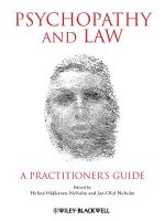 Psychopathy and Law - A Practitioner's Guide