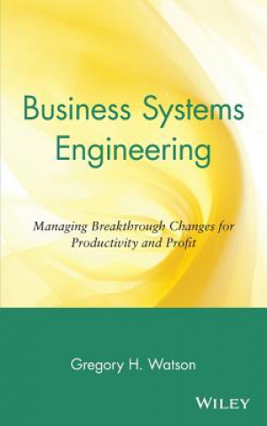 Business Systems Engineering - Managing Breakthrough Changes for Productivity & Profit