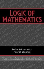 Logic of Mathematics