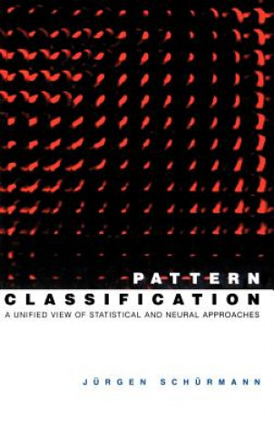 Pattern Classification - A Unified View of Statistical and Neural Approaches