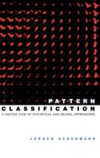 Pattern Classification - A Unified View of Statistical and Neural Approaches
