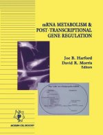 MRNA Metabolism and Post-Transcriptional Gene Regulation