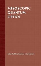 Mesoscopic Quantum Optics