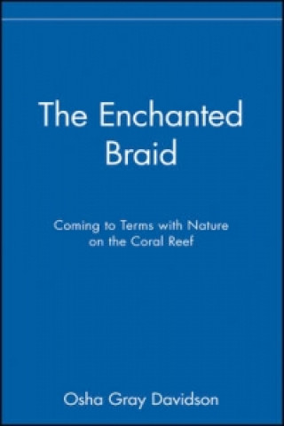 Enchanted Braid
