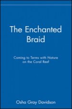 Enchanted Braid