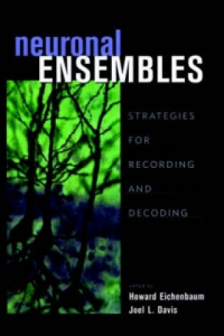 Neuronal Ensembles
