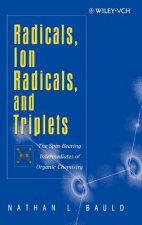 Radicals, Ion Radicals and Triplets - The Spin-Bearing Intermediates of Organic Chemistry