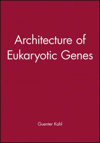 Architecture of Eukaryotic Genes