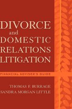 Divorce and Domestic Relations Litigation: Financial Adviser's Guide