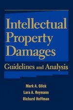 Intellectual Property Damages - Guidelines & Analysis