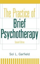 Practice of Brief Psychotherapy 2e