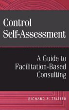 Control Self-Assessment - A Guide to Facilitation -Based Consulting