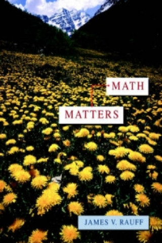 Math Matters (WSE)