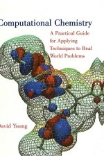 Computational Chemistry: A Practical Guide for App Applying Techniques to Real World Problems