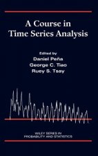 Course in Time Series Analysis