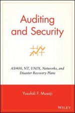 Auditing & Security - AS/400, NT, Unix, Networks & Disaster Recovery Plans