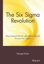 Six Sigma Revolution - How General Electric and Others Turned Process Into Profits