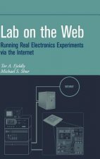 Lab on the Web - Running Real Electronics Experiments via the Internet