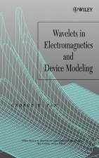 Wavelets in Electromagnetics and Device Modeling