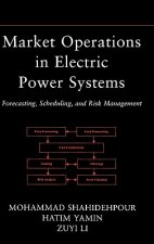 Market Operations in Electric Power Systems - Forecasting, Scheduling and Risk Management