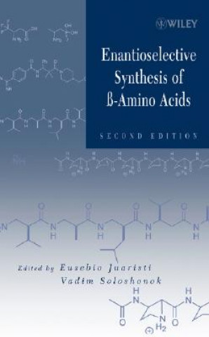 Enantioselective Synthesis of Beta-Amino Acids 2e