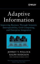 Adaptive Information - Improving Business Through Semantic Interoperability, Grid Computing and Enterprise Integration