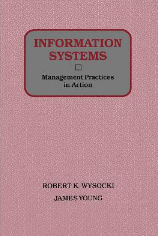 Information Systems - Management Practices in Action (WSE)