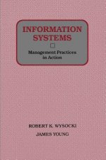 Information Systems - Management Practices in Action (WSE)
