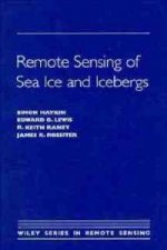 Remote Sensing of Sea Ice & Icebergs