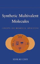 Synthetic Multivalent Molecules - Concepts and Biomedical Applications