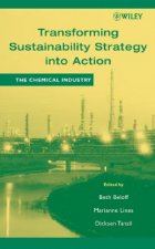 Transforming Sustainability Strategy into Action -  The Chemical Industry