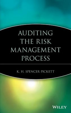 Auditing the Risk Management Process