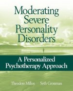 Moderating Severe Personality Disorders - A Personalized Psychotherapy Approach