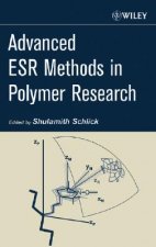 Advanced ESR Methods in Polymer Research