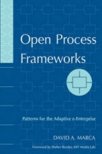 Open Process Frameworks - Patterns for the Adaptive e-Enterprise