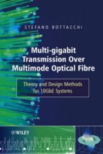 Multi-Gigabit Transmission over Multimode Optical Fibre - Theory and Design Methods for 10GbE Systems