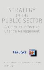 Strategy in the Public Sector - A Guide to Effective Change Management