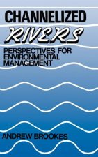 Channelized Rivers - Perspectives for Environmental Management