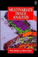 Multivariate Image Analysis