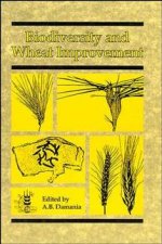Biodiversity & Wheat Improvement