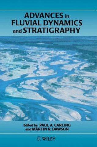 Advances in Fluvial Dynamics & Stratigraphy